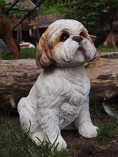 Shih Tzu Havaneser Deko Figur lebensecht 30cm Gartenfigur wetterfest Hund NEU