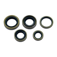 Motor Simmerring Satz