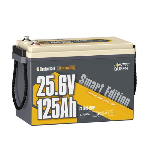Power queen 24v - power,