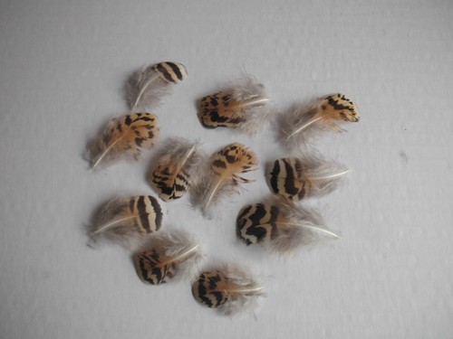 Gestreifte mini - gestreifte,