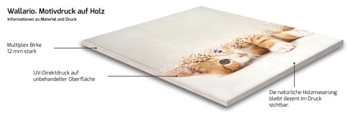 Wallario wandbild holzbild - wallario,