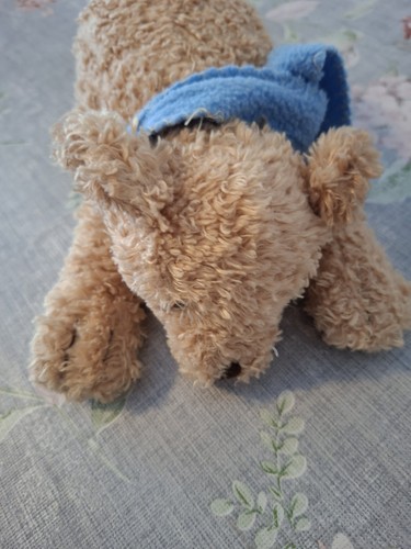 Tcm tchibo bär - tcm, wuschel