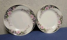 2 kleine Teller Kuchenteller  Porzellan wunderschöner Blumen Dekor 17,5 cm