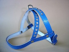 HUNDEGESCHIRR - Geschirr