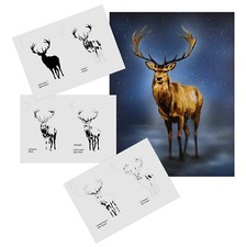 AS-359 Hirsch Step by Step