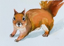 Eichhörnchen Original