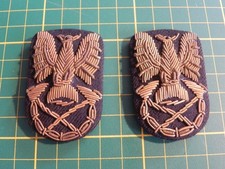 alte Feuerwehr Dienstgradabzeichen Kragenspiegel? Mützenabzeichen?l  Abzeichen