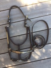 Oldtimer - Showhalfter + Führkette dunkelbraun  COB / Full