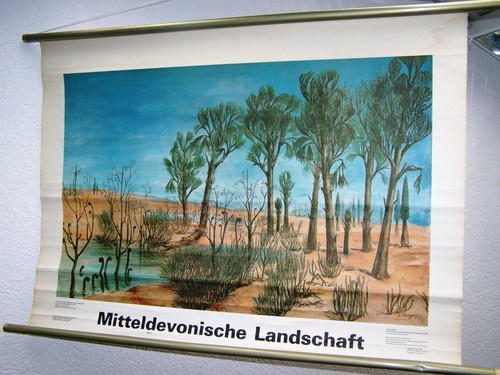 Alte lehrtafel - alte,