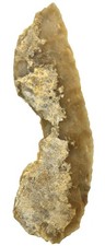 Neolithikum  Seltene Sichel