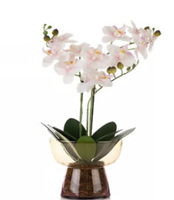 ABELLA Flora künstliche Orchidee Glasvase Glas gefärbt Höhe 60cm