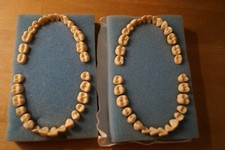 Zahnmedizin - Studium - Zähne aus Plastik zum Beschleifen - 150 Stück