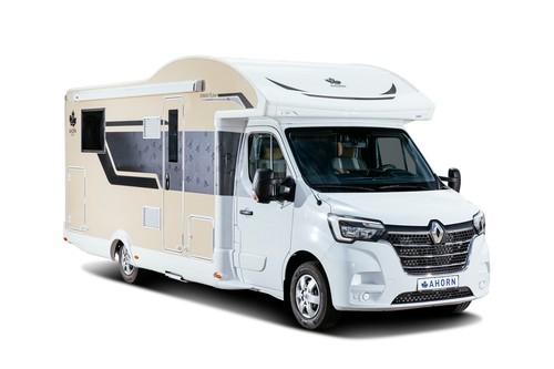 Ahorn canada sofort - ahorn,
