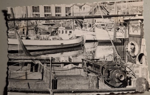 Altes foto vintage kutter - altes,