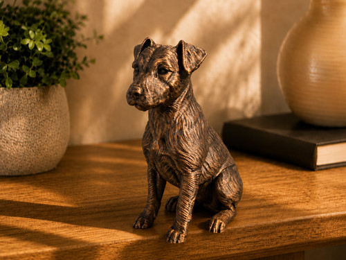 Jack russell terrier sitzende - terrier,
