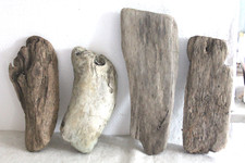 Schwemmholz Treibholz 4