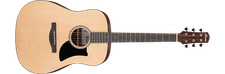 Ibanez Westerngitarre AAD50-LG
