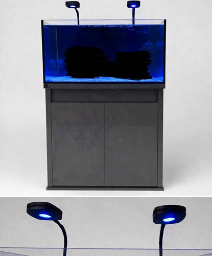 Meerwasseraquarium reef pro - reef,