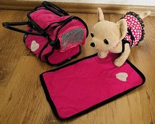 Chi Chi Love Chihuahua Hund