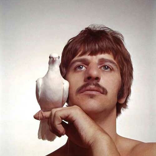 Ringo starr richard avedon - starr,,