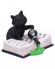 Schwarze Katze mit