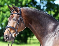 Euroriding Trense SUPER SOFT