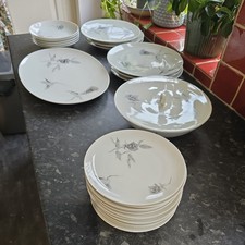 Rosenthal Continental China Raymond Loewy Jet Rose Geschirr Teller Set 60er Vintage