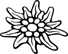 Autoaufkleber Edelweiß 02