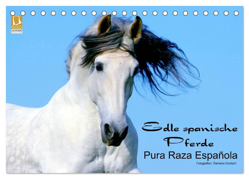 Edle spanische pferde - spanische,