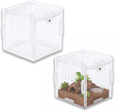 2 Mini Terrarium Set, Acryl