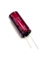 2 x Elna Audio RA3 Elkos -