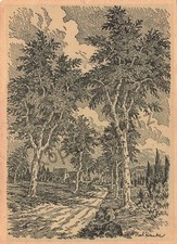 PK DR - Litho - Karl Kranke - Birkenweg in der Lüneburger Heide - um ~1920