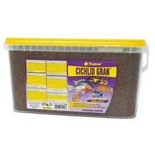 Tropical cichlid gran 5 - cichlid,