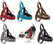 Hunter Norwegergeschirr Racing div. Farben und Größen