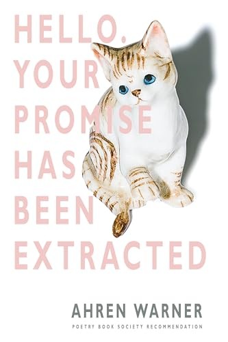 Hello your promise has been - hello.,