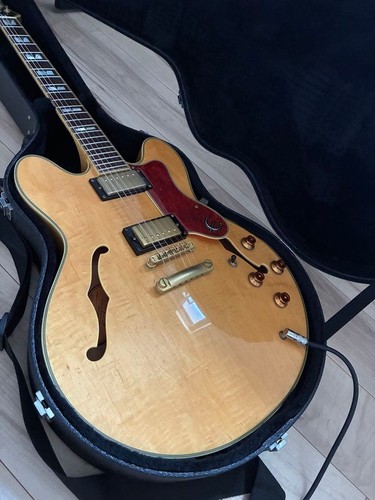 Epiphone sheraton - epiphone, ii