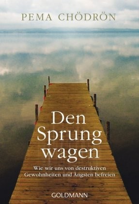 Den sprung wagen chödrön - den, |
