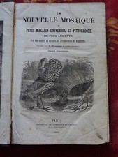 Das neue Mosaik, oder kleiner