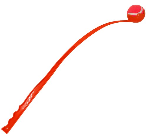 Ballwerfer mit ball - mit,