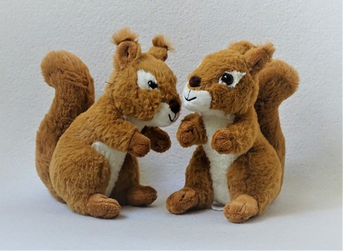 Toffifee eichhörnchen - toffifee, 🐿️