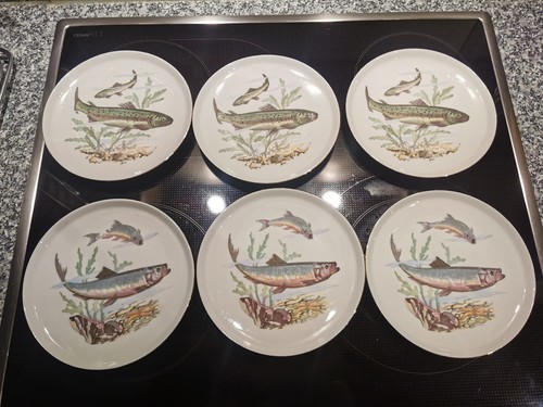 Colditz fisch teller - colditz,