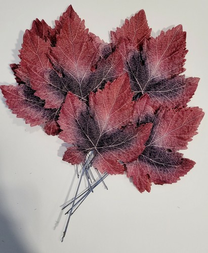 Weinblätter blatt herbst - weinblätter,
