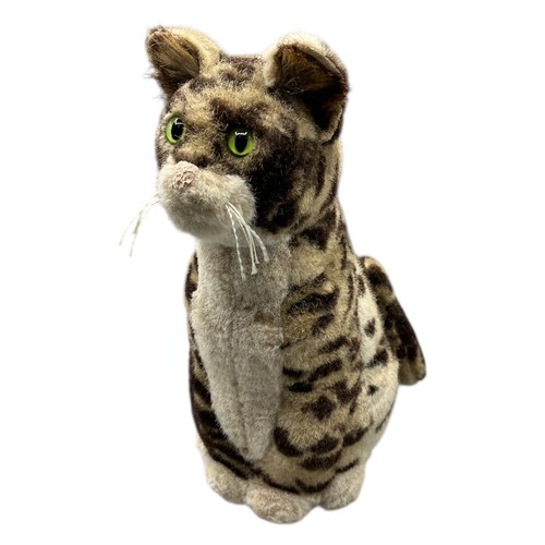 Sigikid katze wildkatze - katze,