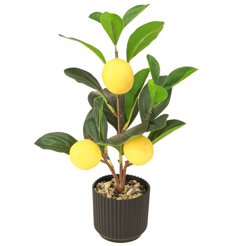 Dekorative