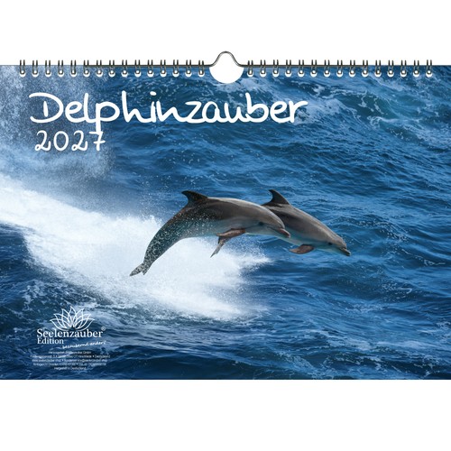 Delphinzauber din kalender - a4,