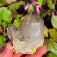 Video top kabinettstufe - video🌈top,
