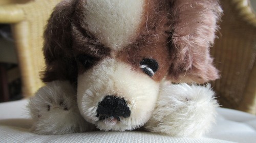 Steiff hund cockie mohair - steiff,