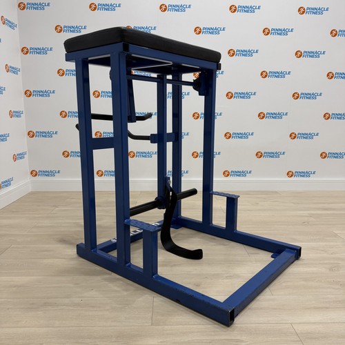 Pullum reverse hyperextension - reverse,