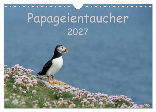 Papageientaucher 2027