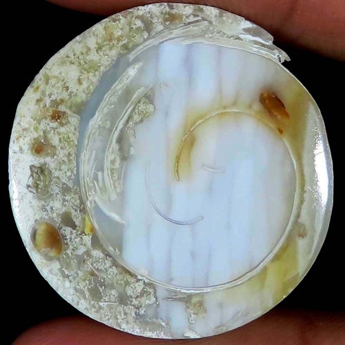 Natürlich fossil - ct,